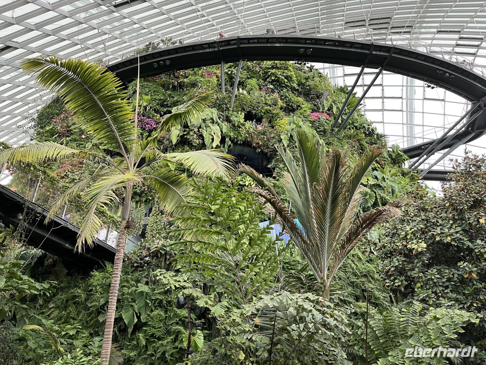 Cloud Forest, Gardens by the Bay, Singapur.jpeg &ndash; &copy; Maria Feibig (Eberhardt TRAVEL)