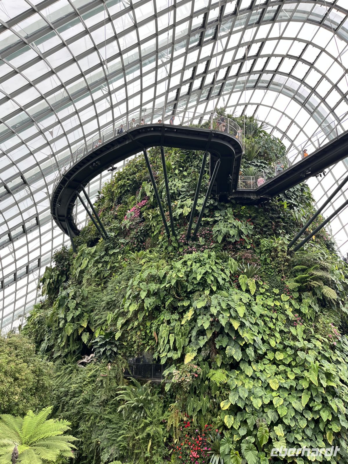 Cloud Forest, Gardens by the Bay, Singapur.jpeg &ndash; &copy; Maria Feibig (Eberhardt TRAVEL)