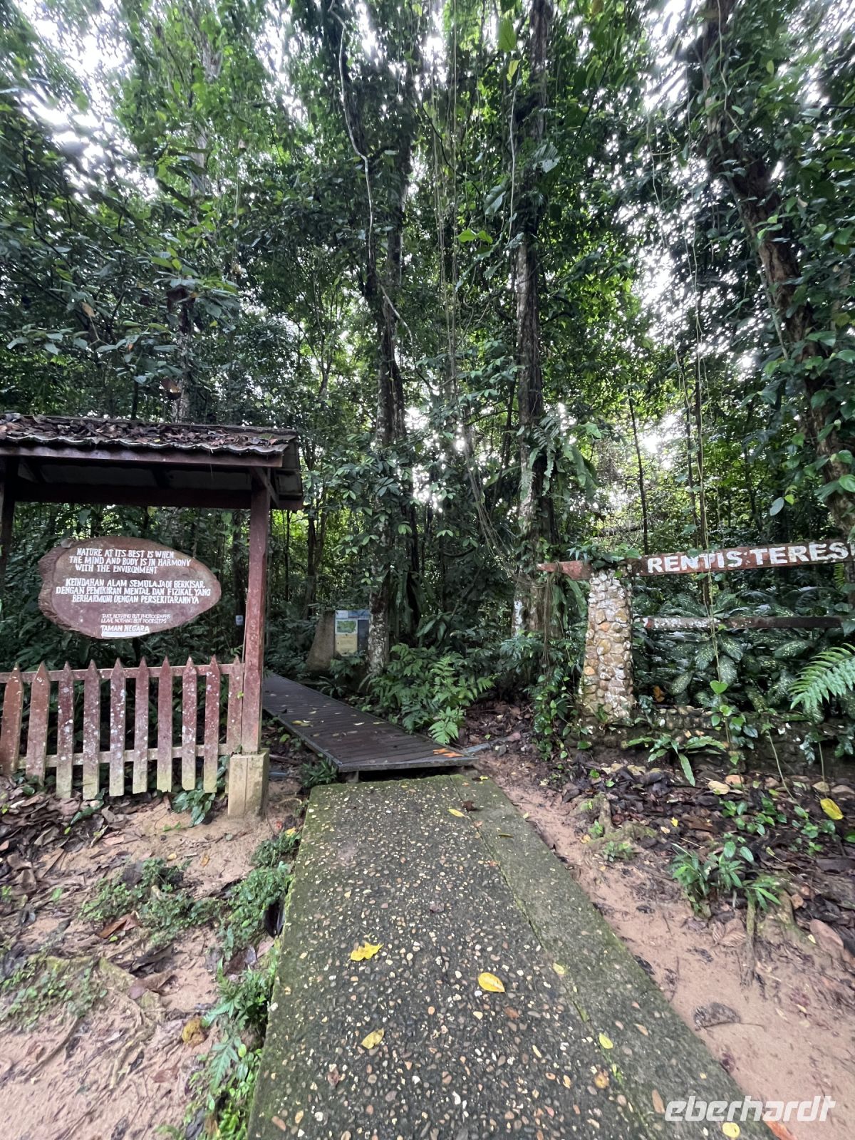Wanderung, Taman Negara, Malaysia.jpeg &ndash; &copy; Maria Feibig (Eberhardt TRAVEL)