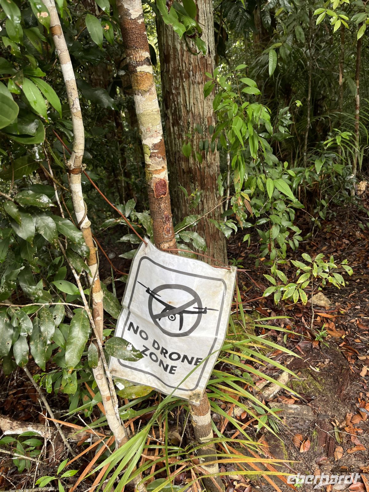 Schild, Wanderung, Taman Negara, Malaysia.jpeg &ndash; &copy; Maria Feibig (Eberhardt TRAVEL)