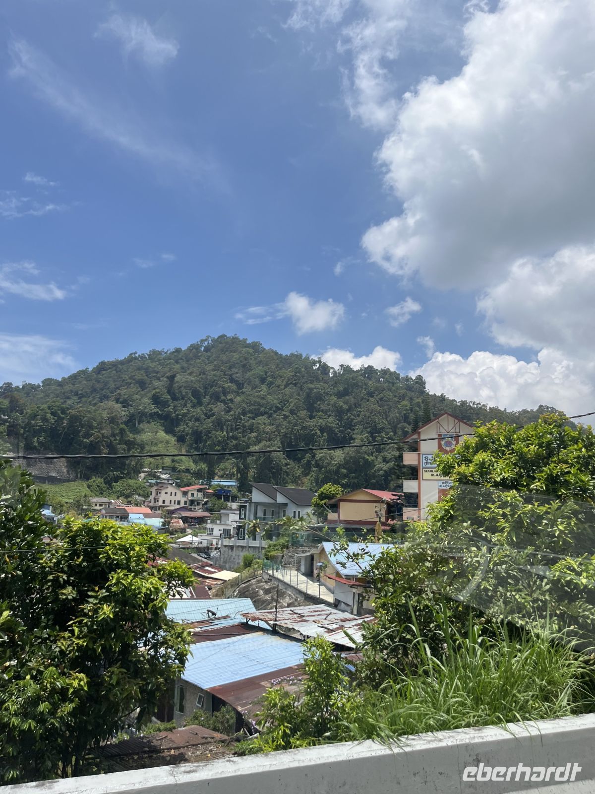 Cameron Highlands, Malaysia.jpeg &ndash; &copy; Maria Feibig (Eberhardt TRAVEL)