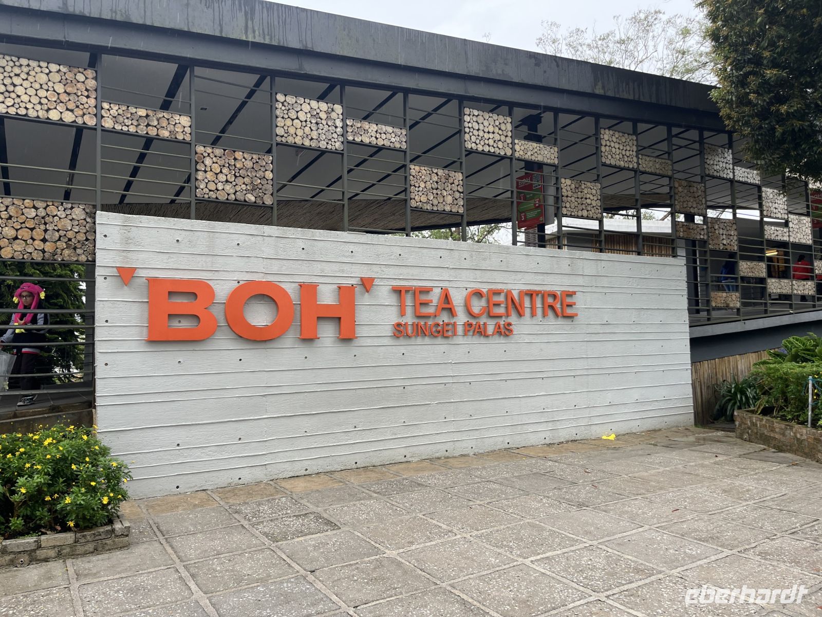 Teeplantage, Cameron Highlands, Malaysia.jpeg &ndash; &copy; Maria Feibig (Eberhardt TRAVEL)