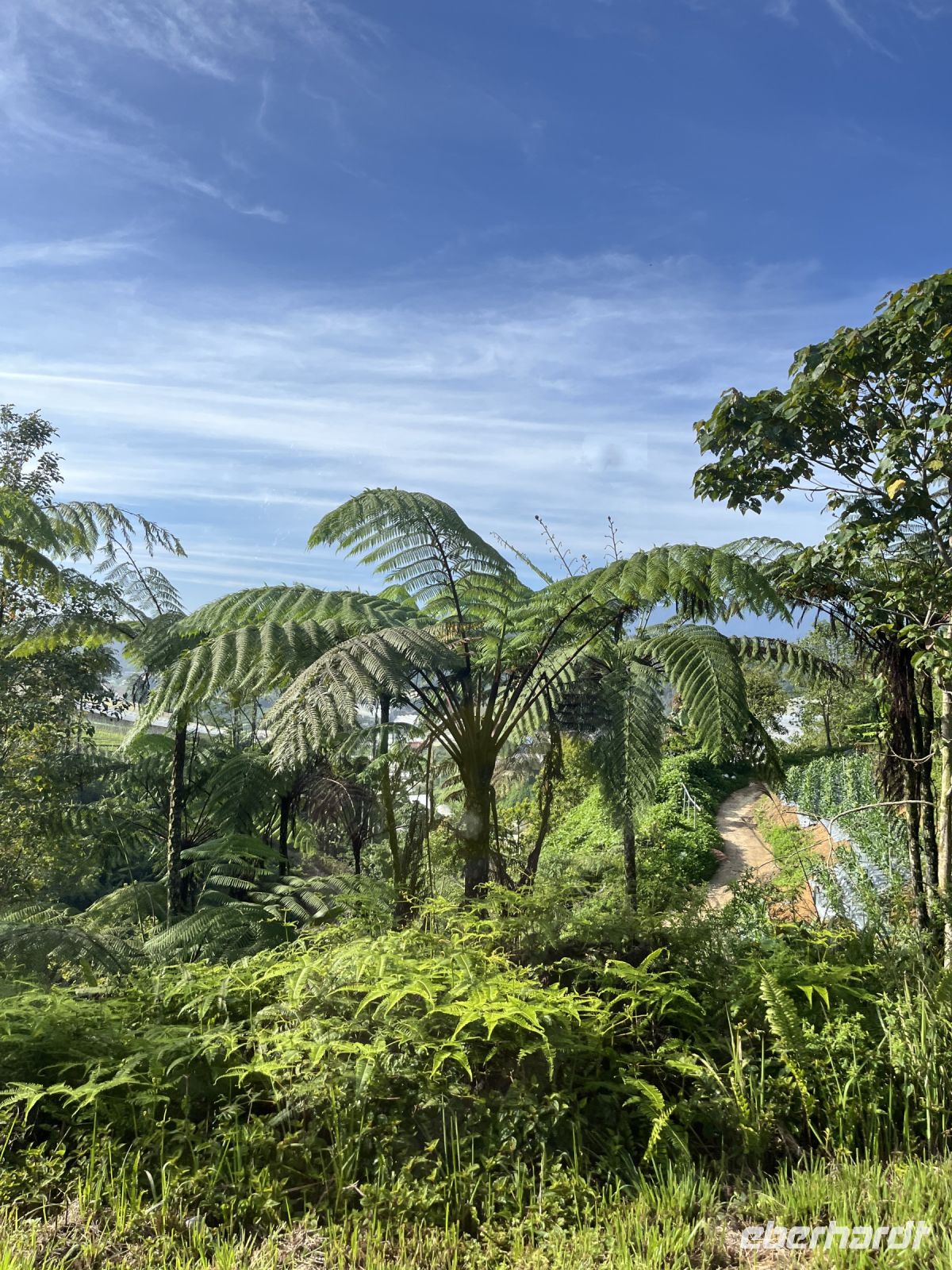 Malaysia.jpeg &ndash; &copy; Maria Feibig (Eberhardt TRAVEL)