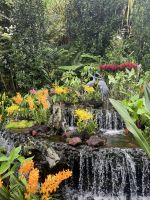 Orchideen Garten, Botanischer Garten, Singapur.jpeg &ndash; &copy; Maria Feibig (Eberhardt TRAVEL)