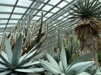 Flower Dome, Gardens by the Bay, Singapur.jpeg &ndash; &copy; Maria Feibig (Eberhardt TRAVEL)