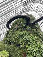 Cloud Forest, Gardens by the Bay, Singapur.jpeg &ndash; &copy; Maria Feibig (Eberhardt TRAVEL)