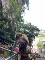 Affe, Batu Caves, Kuala Lumpur, Malaysia.jpeg &ndash; &copy; Maria Feibig (Eberhardt TRAVEL)