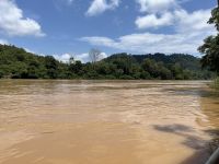 Sungai Tembeling Fluss, Malaysia.jpeg &ndash; &copy; Maria Feibig (Eberhardt TRAVEL)