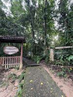 Wanderung, Taman Negara, Malaysia.jpeg &ndash; &copy; Maria Feibig (Eberhardt TRAVEL)