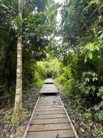 Wanderung, Taman Negara, Malaysia.jpeg &ndash; &copy; Maria Feibig (Eberhardt TRAVEL)