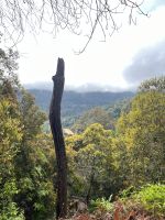 Ausblick, Wanderung, Taman Negara, Malaysia.jpeg &ndash; &copy; Maria Feibig (Eberhardt TRAVEL)