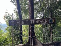 Wanderung, Taman Negara, Malaysia.jpeg &ndash; &copy; Maria Feibig (Eberhardt TRAVEL)