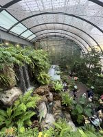 Flughafen, Singapur.jpeg &ndash; &copy; Maria Feibig (Eberhardt TRAVEL)
