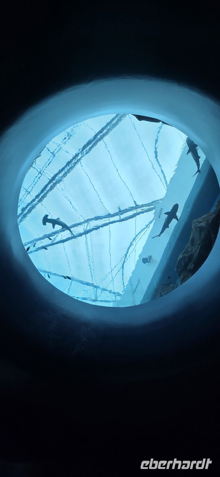 Singapore Oceanarium - Sentosa Island  &ndash; &copy; Ronja Wagner (Eberhardt TRAVEL)