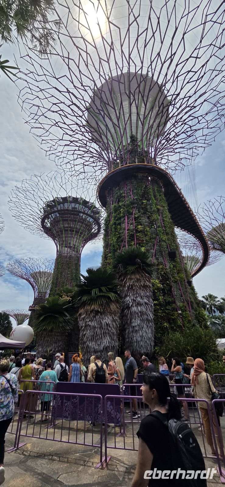  Supertree Grove - Singapur  &ndash; &copy; Ronja Wagner (Eberhardt TRAVEL)