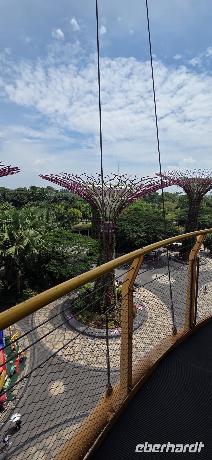  Supertree Grove - Singapur  &ndash; &copy; Ronja Wagner (Eberhardt TRAVEL)