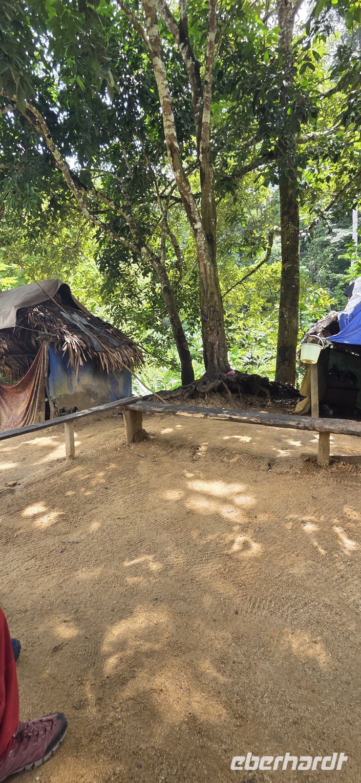 Oran Asli - Taman Negara &ndash; &copy; Ronja Wagner (Eberhardt TRAVEL)