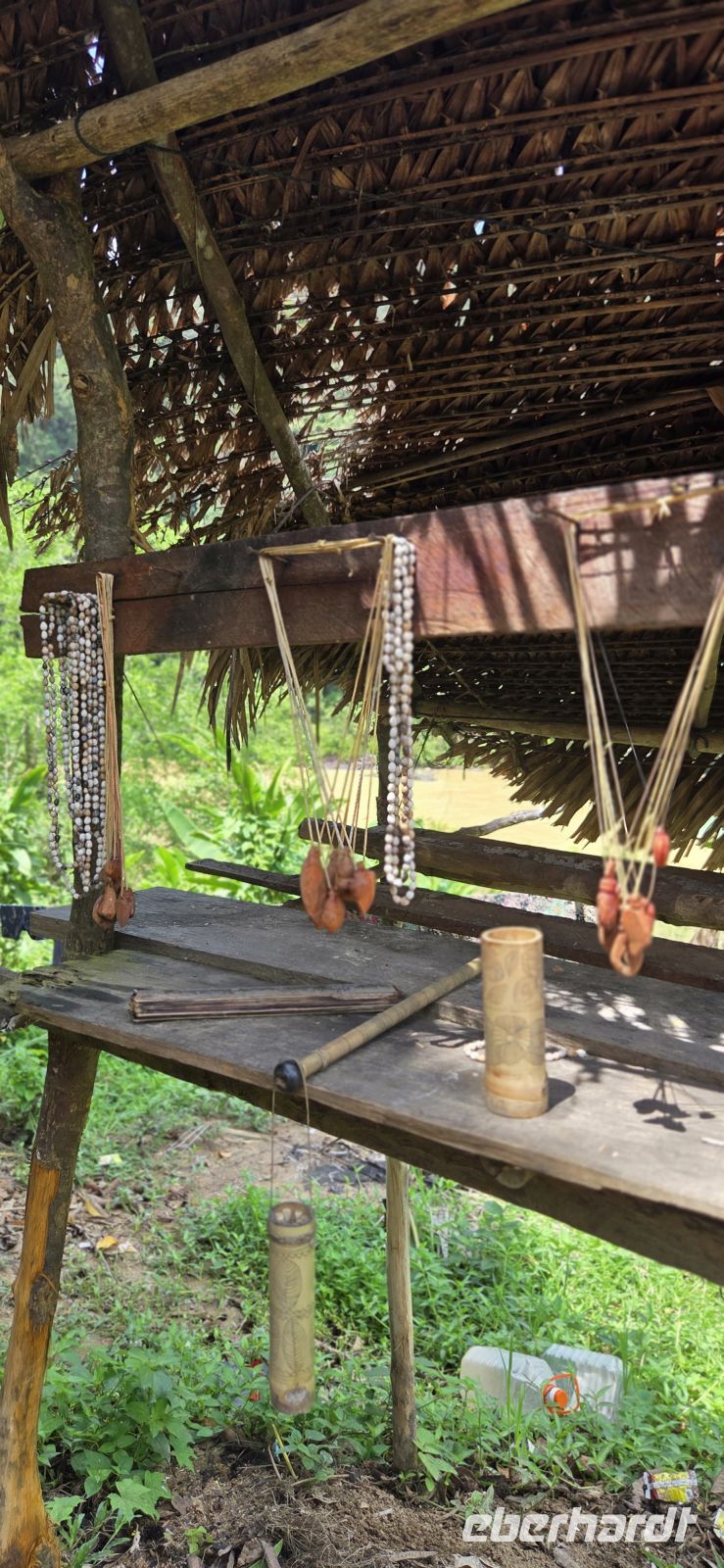 Oran Asli - Taman Negara &ndash; &copy; Ronja Wagner (Eberhardt TRAVEL)