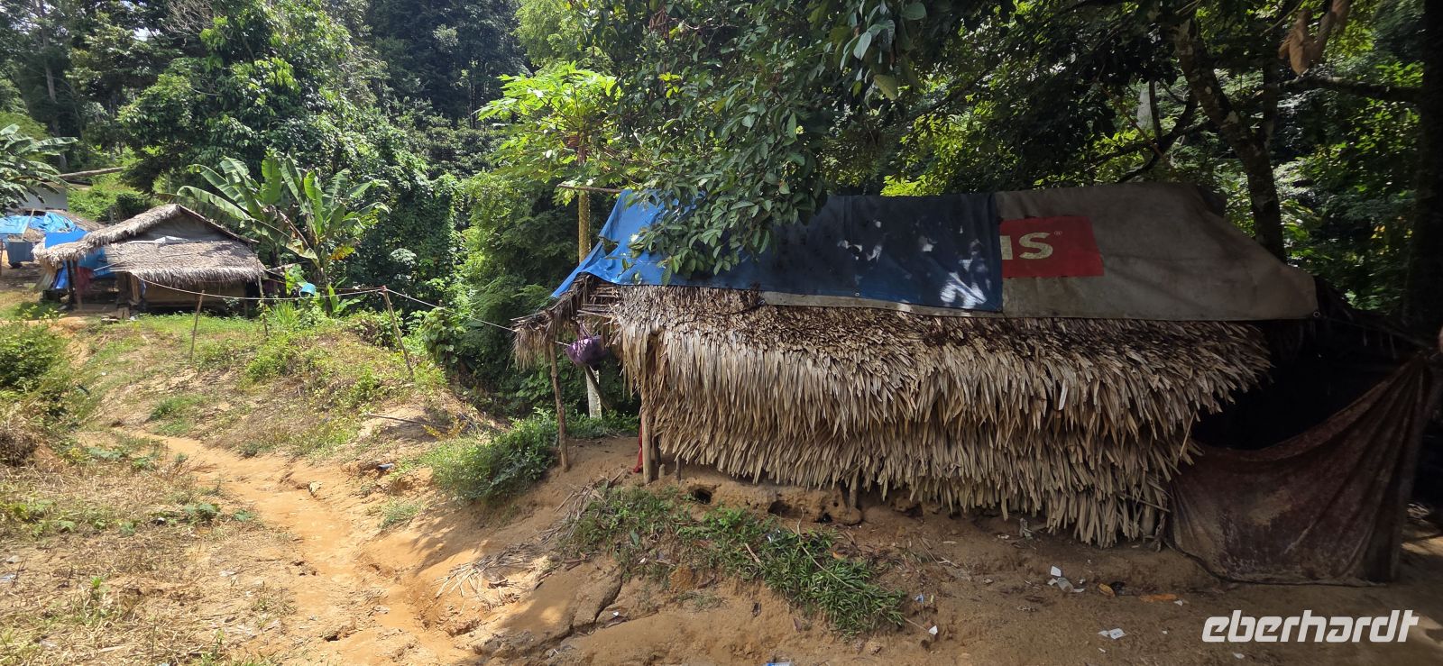 Oran Asli - Taman Negara &ndash; &copy; Ronja Wagner (Eberhardt TRAVEL)