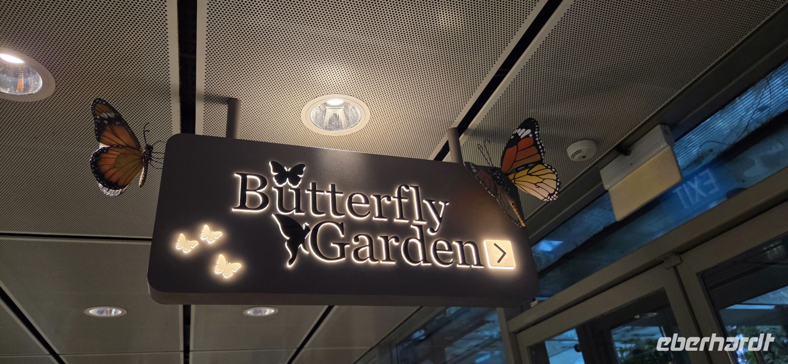 Butterfly Garden - Singapur Flughafen &ndash; &copy; Ronja Wagner (Eberhardt TRAVEL)