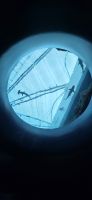 Singapore Oceanarium - Sentosa Island  &ndash; &copy; Ronja Wagner (Eberhardt TRAVEL)