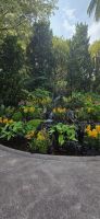 National Orchid Graden - Singapur &ndash; &copy; Ronja Wagner (Eberhardt TRAVEL)