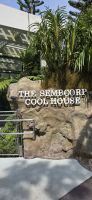 National Orchid Graden - Singapur &ndash; &copy; Ronja Wagner (Eberhardt TRAVEL)