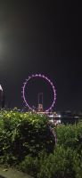  Singapur Flyer - Riesenrad  &ndash; &copy; Ronja Wagner (Eberhardt TRAVEL)