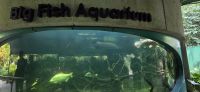 Gardens by the Bay - Singapur  &ndash; &copy; Ronja Wagner (Eberhardt TRAVEL)