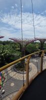  Supertree Grove - Singapur  &ndash; &copy; Ronja Wagner (Eberhardt TRAVEL)