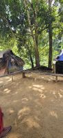 Oran Asli - Taman Negara &ndash; &copy; Ronja Wagner (Eberhardt TRAVEL)