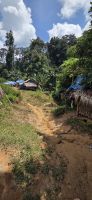 Oran Asli - Taman Negara &ndash; &copy; Ronja Wagner (Eberhardt TRAVEL)