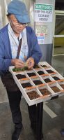 Boh Teeplantage - Cameron Highlands &ndash; &copy; Ronja Wagner (Eberhardt TRAVEL)
