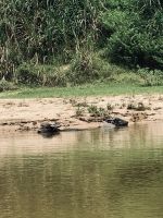 Sungai Tembeling &ndash; &copy; Mireille Fuhrmann (Eberhardt TRAVEL)