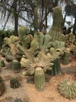 Gardens By the Bay &ndash; &copy; Mireille Fuhrmann (Eberhardt TRAVEL)