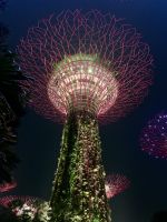 Supertree