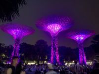 Supertree &ndash; &copy; Mireille Fuhrmann (Eberhardt TRAVEL)