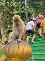 Batu Caves &ndash; &copy; Mireille Fuhrmann (Eberhardt TRAVEL)