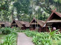 Taman Negara