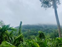 Taman Negara &ndash; &copy; Mireille Fuhrmann (Eberhardt TRAVEL)