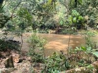 Taman Negara &ndash; &copy; Mireille Fuhrmann (Eberhardt TRAVEL)