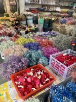 Brinchang Markt &ndash; &copy; Mireille Fuhrmann (Eberhardt TRAVEL)