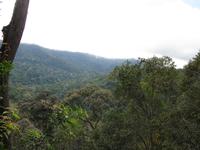 Taman_Negara_Dschungelwanderung_IMG_0141 &ndash; &copy; Daniela Paulan (Eberhardt TRAVEL)