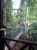 Taman_Negara_Canopy_Walk_P1050049 &ndash; &copy; Daniela Paulan (Eberhardt TRAVEL)