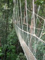 Taman_Negara_Canopy_Walk_P1050059 &ndash; &copy; Daniela Paulan (Eberhardt TRAVEL)