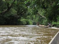 Taman_Negara_Dschungelbootsfahrt_IMG_0165 &ndash; &copy; Daniela Paulan (Eberhardt TRAVEL)