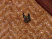 Taman_Negara_Mutiara_Resort_Tiere_IMG_0199 &ndash; &copy; Daniela Paulan (Eberhardt TRAVEL)