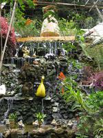 Cameron_Highland_Rosenfarm_IMG_0234 &ndash; &copy; Daniela Paulan (Eberhardt TRAVEL)