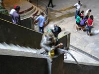 Kuala_Lumpur_Batu_Caves_IMG_0087 &ndash; &copy; Daniela Paulan (Eberhardt TRAVEL)