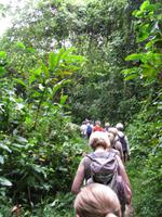 Taman_Negara_Dschungelwanderung_IMG_0122 &ndash; &copy; Daniela Paulan (Eberhardt TRAVEL)